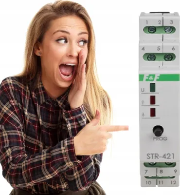 Produktbild von F&F | Rollladensteuerung STR-421 - 230V - 2-Tasten - Zentralsteuerung - Programmierbar - LED-Anzeige