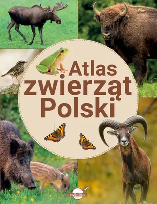 Immagine prodotto di Atlas Zwierząt - książka dla dzieci