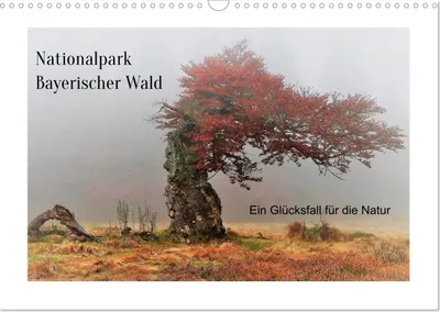 Produktbild von Ein Glücksfall für die Natur- Nationalpark Bayerischer Wald (Wandkalender 2027 DIN A3 quer), CALVENDO Monatskalender