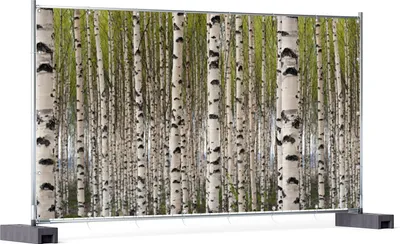 Produktbild von Wallario XXL Outdoor-Poster für Garten oder Balkon, Motiv Birkenwald - Baumstämme in schwarz weiß, in ca. 340 x 173 cm
