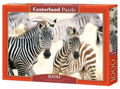 Obrázok produktu pre Puzzle 1000 dielov Young Zebras 105021 Castorland