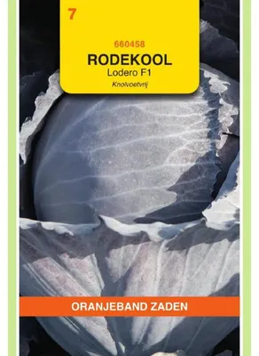 Productafbeelding van Oranjekleurig koolrabi-zaad, Lodero F1 - 1 verpakking zaad