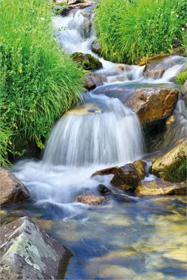 Produktbild von Wallario selbstklebendes Poster - Kleiner Bach über Steine, Größe: 61 x 91,50 cm