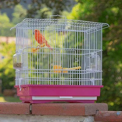 Image de Cage à oiseaux - Cage entièrement équipée pour perroquets et canaris