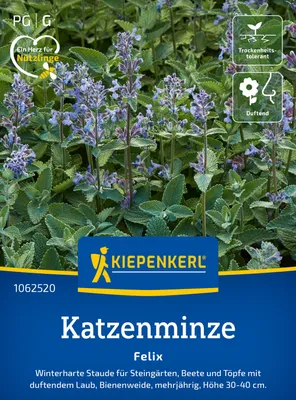 Produktbild von Kiepenkerl Katzenminzesamen Felix Nepeta x faassenii 60 Pflanzen