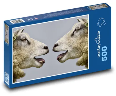 Obrázok produktu pre Puzzle 500 Dve mečiace ovce - martinpuzzle