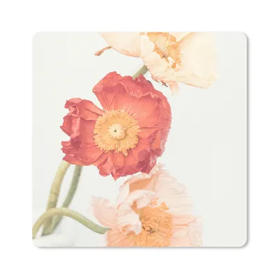 Produktbild von MuchoWow® Mauspad Mousepad Blumen - Rot - Natur - Pflanzen 20x20 cm - Mousepads - Maus Mat - Pad - Mausunterlage - Desk Mat - Bureauartikeln