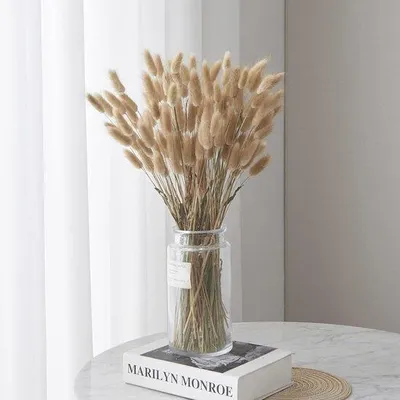 Immagine prodotto di 60 pezzi di erba della pampa essiccata naturale - Konijntail - Decorazione boho - Morbida per la casa - Decorazione per matrimoni - Colore naturale