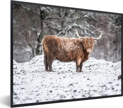 Produktbild von MuchoWow® Gerahmtes Poster Schottischer Highlander - Baum - Schnee 80x60 cm - Poster mit Schwarzem Bilderrahmen Wandposter Rahmen Foto Bilder - Schwarzem - Mit Gestell