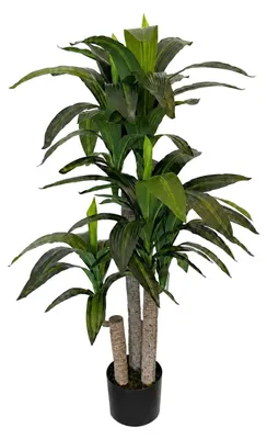 Produktbild von aplanta Künstliche Dracaena – Maevor | 120 cm, für drinnen, Kunstbaum, wie echt, Allergiker geeignet, pflanzliche Dekoration Praxis, Office & Wohnzimmer