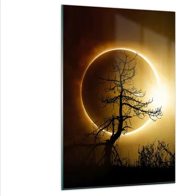 Produktbild von Bilder auf glas - Einteilig - Sonnenfinsternis die Sonne Baum - 80x120cm - Glasbilder - Wandbilder - Bilder - Wanddekoration aus Glas - Glas Bilder - Wandbild auf Glas - GPA80x120-4349