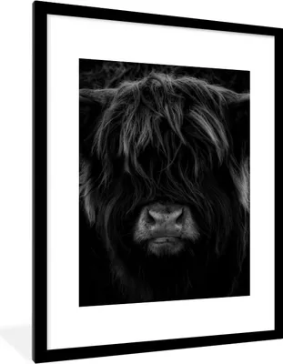 Produktbild von MuchoWow® Gerahmtes Poster Schottischer Highlander - Kuh - Porträt - Tiere - Schwarz - Weiß 60x80 cm - Poster mit Schwarzem Bilderrahmen Wandposter Rahmen Foto Bilder - Wohnzimmer - Dekorationen - Prämie