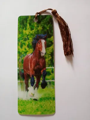 Produktbild von 3 D Lesezeichen Pferd, 15x5cm, Wackelbild Wackelkarte Buchzeichen Bookmark Bücher Pferde