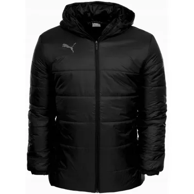 Image de Veste Puma Teamliga K12093