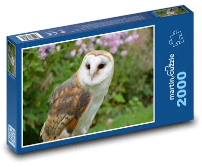 Zdjęcie produktu dla martinpuzzle - Puzzle 2000 - Sowa - ptak