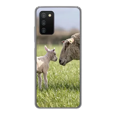 Produktbild von MuchoWow® Handyhülle Schutzhülle Hülle für Samsung Galaxy A03s Schafe - Gras - Lamm Silikon Softcase Handy Hülle - Schutz