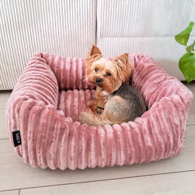 Produktbild von 4L Textil BELLA Plüsch-Hundebett PREMIUM-LINE (60x40 cm, Rosa)