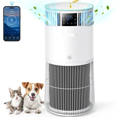 Image de Purificateur d'air – 843 m³/heure – Filtre HEPA H13 – Adapté aux allergies aux animaux de compagnie – Filtre à charbon actif – 57 dB