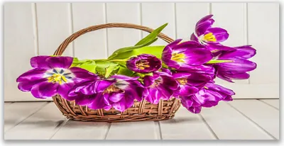 Produktbild von Acrylglasbilder 120x60 Wandbild Druck Blumen Pflanzen