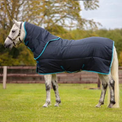 Image de Horseware Amigo Insulator Pony Plus Medium 200g - Bleu marine/Élec & Navy