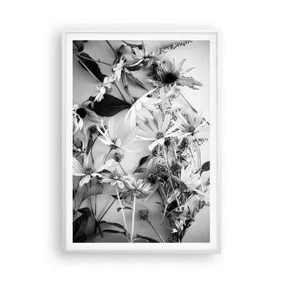 Produktbild von Gerahmtes Poster - Weißer Rahmen - Blumen Schwarzweiß Fotografie - 70x100 cm - Wand Bild - Wanddeko - Wandbilder - Kunstposter - Wandposter - Bilderrahmen - Bilder - Kunstdruck - P2WPA70x100-4740