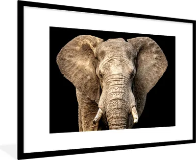 Produktbild von MuchoWow® MuchoWow® Gerahmtes Poster Elefant - Porträt - Schwarz 90x60 cm - Poster mit zchwarzem Bilderrahmen - Wanddekoration - Fotos