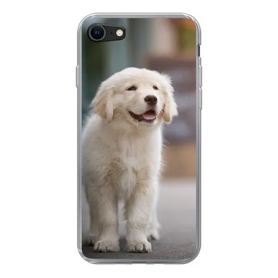Produktbild von MuchoWow® Handyhülle Schutzhülle Hülle für iPhone SE 2020 Ein Golden Retriever Welpe läuft auf dem Bürgersteig Silikon Softcase Handy Hülle - Kartenbesitzer