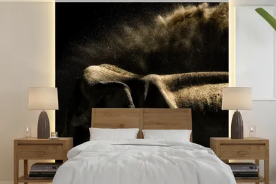 Produktbild von MuchoWow® Fototapete für Wohnzimmer oder Schlafzimmer Wandtapete Vinyl Motivtapete Elefant schüttelt Schlamm auf schwarzem Hintergrund ab - 240x240 cm - Schlafzimmer-Tapete