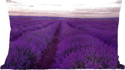 Produktbild von MuchoWow® Zierkissen Sofakissen Wohnzimmer Dekokissen 50x30 cm Lavendel - Lila - Blumen - Natur - Wohnzimmerdekoration - Polster mit Photo