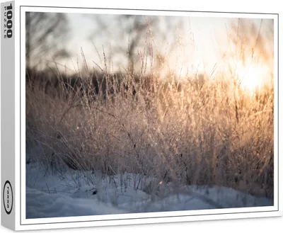 Image de puzzle premium raxxa "Frozen Sunrise", 1000 pièces