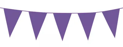 Image de Guirlande de fanions décoration de fête violet 10m