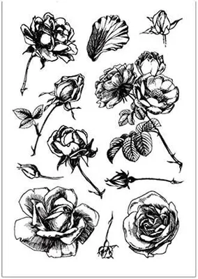 Imagen del producto de Sellos transparentes de rosas, flores y hojas, de 11 x 16 cm, para scrapbooking