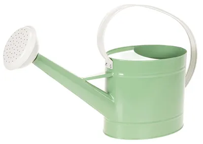 Produktbild von Dekorative Metallgießkanne für Garten und Innenbereich im Retro-Look