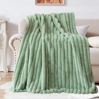 A light green plush blanket is draped over a sofa in a living room setting.