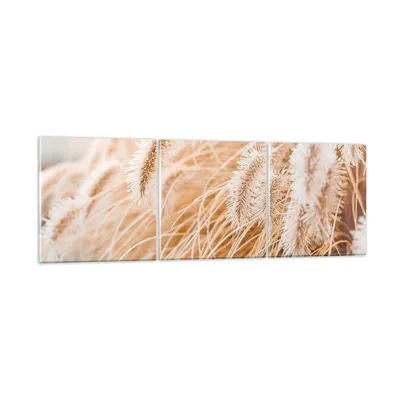 Produktbild von Bilder auf glas - 3 Teile - Gras Boho Licht - 120x40cm - Glasbilder - Wandbilder - Bilder - zum Aufhängen bereit - Wanddekoration aus Glas - Glas Bilder - Wandbild auf Glas - GCA120x40-4903