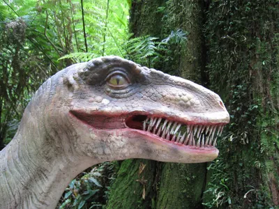 Produktbild von 3 D Ansichtskarte Velociraptor Kopf, Postkarte Wackelkarte Hologrammkarte Dinosaurier