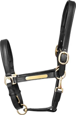 Produktbild von Hy Leder-Halfter BZ354 (X Full) (Schwarz)