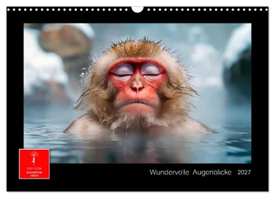 Produktbild von Wundervolle Augenblicke (Wandkalender 2027 DIN A3 quer), CALVENDO Monatskalender