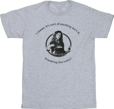 Produktbild von Harry Potter - "Breaking The Rules" T-Shirt für Herren BI30717 (XXL) (Grau)
