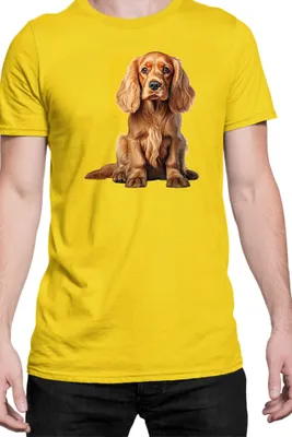 Zdjęcie produktu dla Męska Koszulka Dogs Breeds Cocker Spaniel Dog Breed 006, Man L / Żółty
