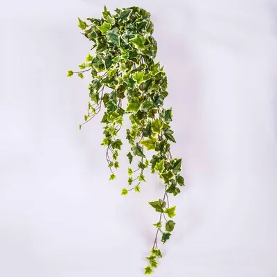 Produktbild von artplants.de Künstlicher Efeuranke, 350 Blätter, grün-weiß, 100cm - Künstliche Pflanzen Efeu - Kunstefeu