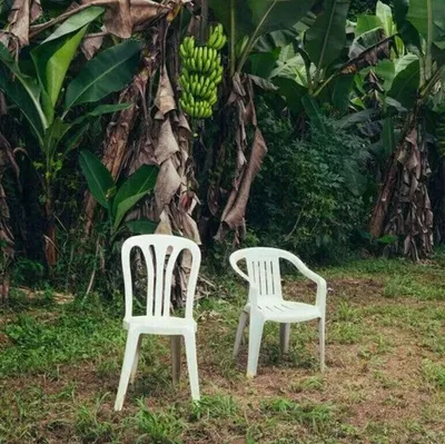 Obrázek produktu pro Bad Bunny - Debí Tirar Más Fotos (White Coloured) (2 LP)