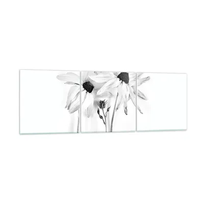 Produktbild von Bilder auf glas - 3 Teile - Verwelkt Blumen Monochrom - 90x30cm - Glasbilder - Wandbilder - Bilder - zum Aufhängen bereit - Wanddekoration aus Glas - Glas Bilder - Wandbild auf Glas - GCA90x30-4737