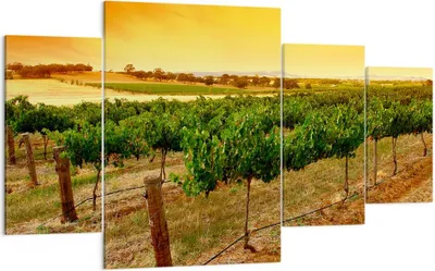 Produktbild von Bild auf Leinwand - Leinwandbild - Landschaft Weinberg Sonnenuntergang - 160x90cm - Wand Bild - Wanddeko - Leinwanddruck - Bilder - Kunstdruck - Leinwand bilder - Wandkunst - DL160x90-0116