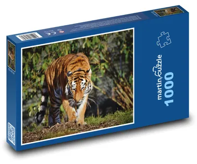 Obrázek produktu pro Puzzle 1000 Tygr v džungli - martinpuzzle