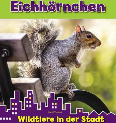 Produktbild von Eichhörnchen