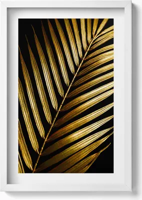 Produktbild von Blatt in Goldglamour– Wandbild mit Rahmen – Gerahmtes Bild  – Wanddekoration – 40x60 cm – Weiß