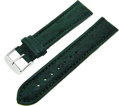 Produktbild von Uhrenarmband Straußenleder stark gepolstert Grün Ton in Ton 18mm NEU