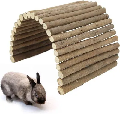 Zdjęcie produktu dla Tunel klimatyczny dla świnek morskich, fretek i królików – 15 x 30 cm – składany – z tworzywa sztucznego