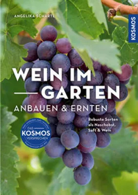 Immagine prodotto di Wein im Garten anbauen & ernten